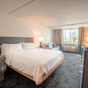 Standard King Room Ocean View
